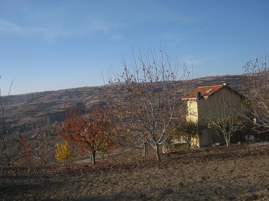 Name:  bugn1.JPG
Views: 837
Size:  56.6 KB