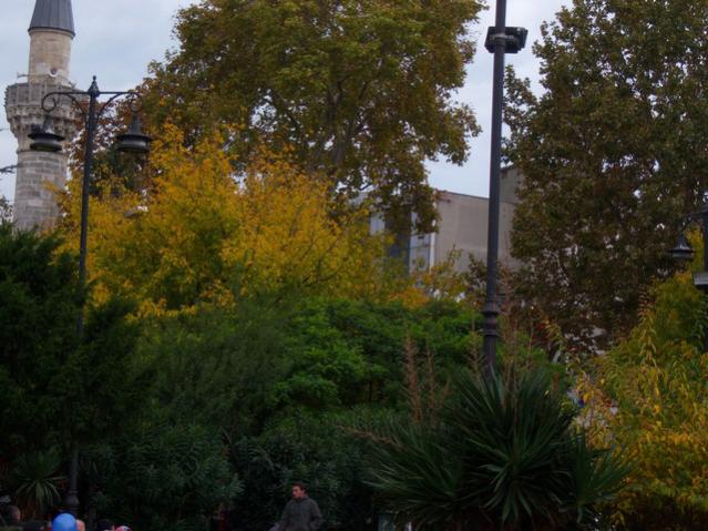 Name:  100_3561.jpg
Views: 348
Size:  57.2 KB