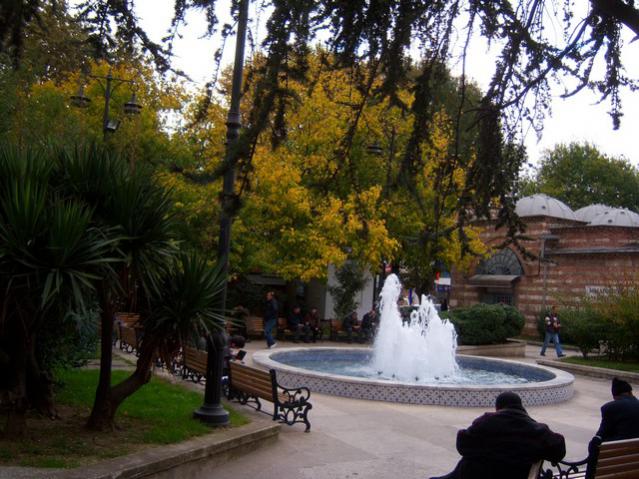Name:  100_3563.jpg
Views: 382
Size:  63.6 KB