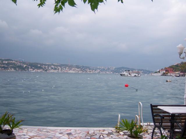 Name:  100_3565.jpg
Views: 363
Size:  33.8 KB