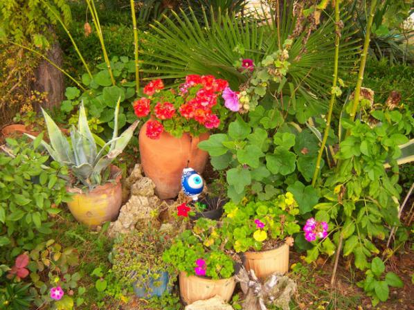 Name:  100_3605.jpg
Views: 348
Size:  71.6 KB