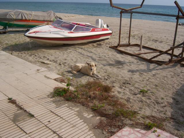 Name:  100_3614.jpg
Views: 329
Size:  58.4 KB