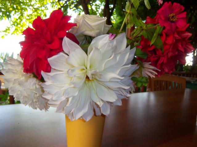 Name:  100_3623.jpg
Views: 341
Size:  40.6 KB