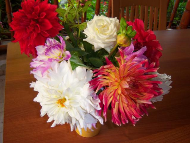 Name:  100_3624.jpg
Views: 363
Size:  42.9 KB