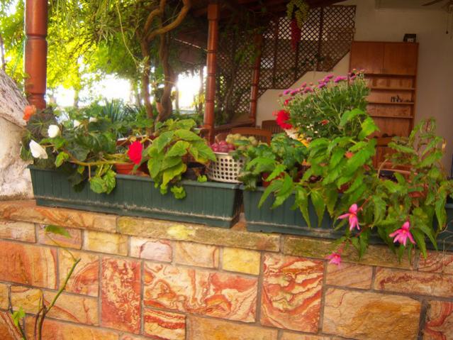 Name:  100_3629.jpg
Views: 351
Size:  63.8 KB