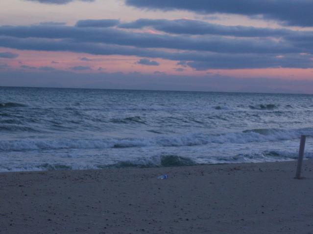 Name:  100_3639.jpg
Views: 339
Size:  30.7 KB