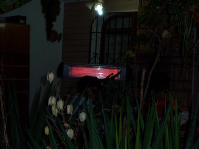 Name:  100_3643.jpg
Views: 324
Size:  26.5 KB