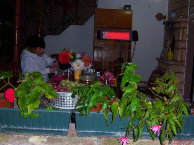 Name:  100_3644.jpg
Views: 326
Size:  47.1 KB