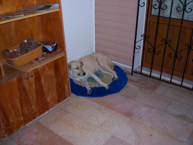 Name:  100_3648.jpg
Views: 331
Size:  35.0 KB
