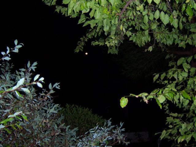 Name:  100_3677.jpg
Views: 360
Size:  51.4 KB