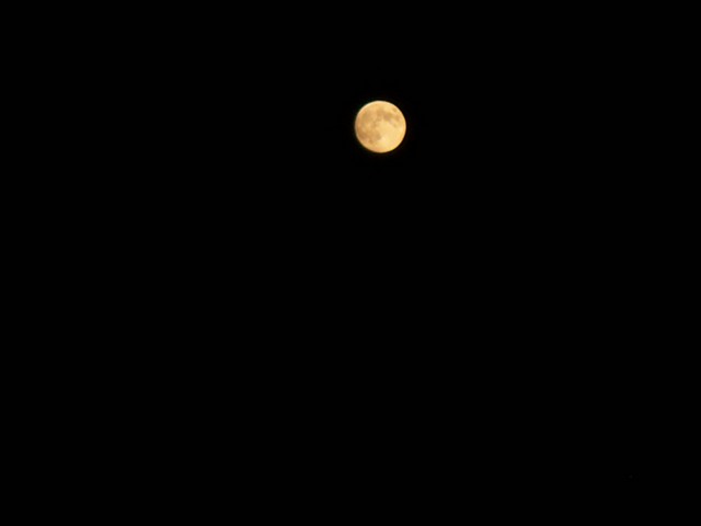 Name:  100_3678.jpg
Views: 342
Size:  29.0 KB