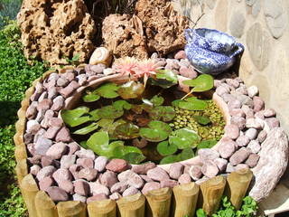 Name:  17.jpg
Views: 1147
Size:  37.1 KB
