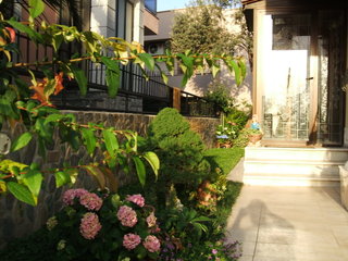 Name:  21.jpg
Views: 1134
Size:  39.5 KB