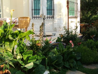 Name:  24.jpg
Views: 1132
Size:  38.3 KB