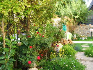 Name:  27.jpg
Views: 1138
Size:  37.2 KB