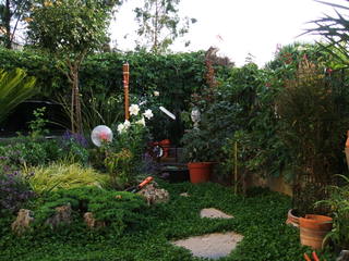 Name:  35.jpg
Views: 1158
Size:  32.3 KB