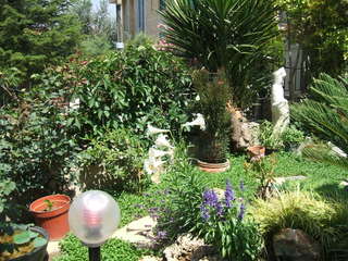 Name:  36.jpg
Views: 1127
Size:  33.7 KB