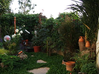 Name:  37.jpg
Views: 1132
Size:  34.0 KB