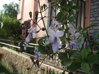 Name:  2.jpg
Views: 1121
Size:  40.9 KB