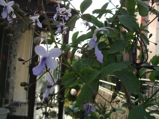 Name:  3.jpg
Views: 1127
Size:  37.9 KB