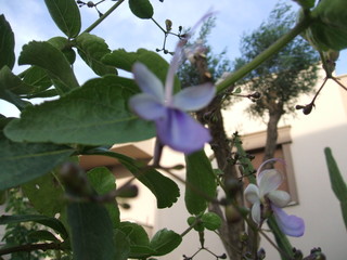 Name:  6.jpg
Views: 1118
Size:  38.2 KB