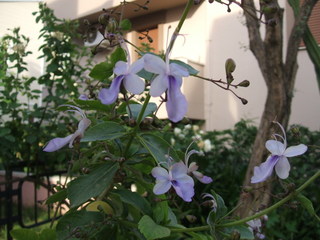 Name:  7.jpg
Views: 1116
Size:  39.4 KB