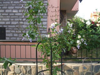 Name:  8.jpg
Views: 1119
Size:  37.8 KB