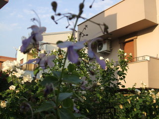 Name:  10.jpg
Views: 1147
Size:  42.5 KB