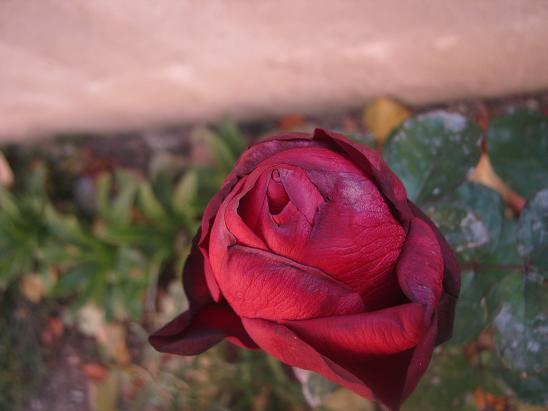 Name:  gl.JPG
Views: 890
Size:  37.7 KB