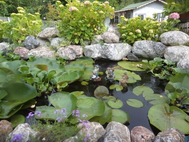Name:  DSC00778.jpg
Views: 4364
Size:  69.2 KB