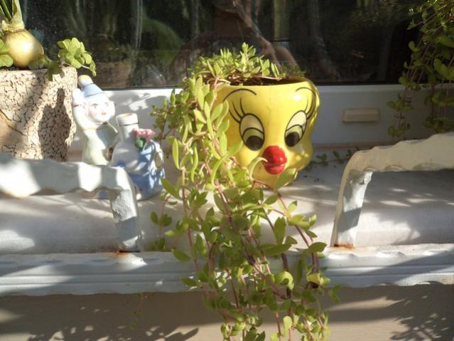Name:  DSC01065.jpg
Views: 3926
Size:  48.0 KB