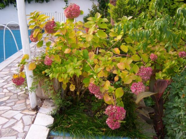 Name:  100_3746.jpg
Views: 307
Size:  68.9 KB