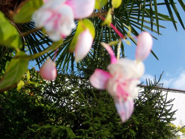 Name:  100_3754.jpg
Views: 595
Size:  60.7 KB