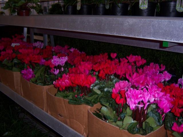 Name:  100_3761.jpg
Views: 372
Size:  44.5 KB
