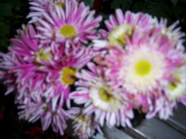Name:  100_3765.jpg
Views: 383
Size:  36.5 KB