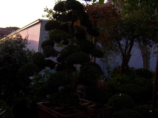 Name:  100_3772.jpg
Views: 378
Size:  34.7 KB