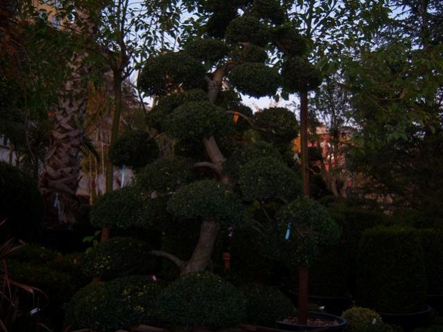 Name:  100_3773.jpg
Views: 374
Size:  50.8 KB