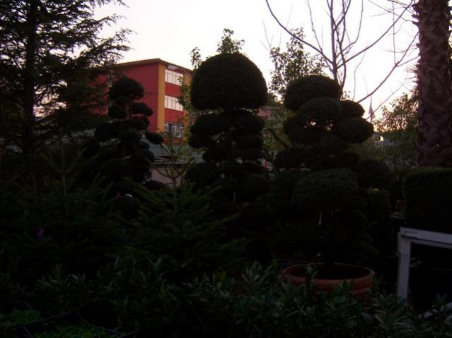 Name:  100_3774.jpg
Views: 362
Size:  40.6 KB