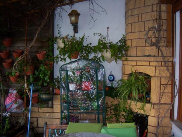 Name:  100_3781.jpg
Views: 398
Size:  52.6 KB