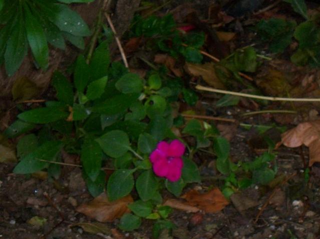 Name:  100_3785.jpg
Views: 610
Size:  36.8 KB