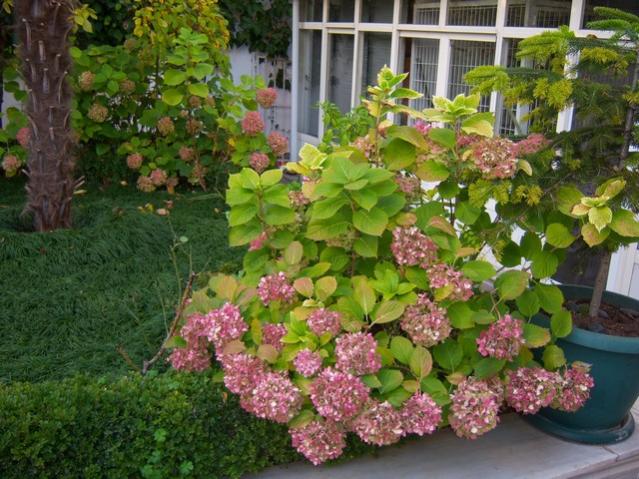 Name:  100_3809.jpg
Views: 346
Size:  66.8 KB