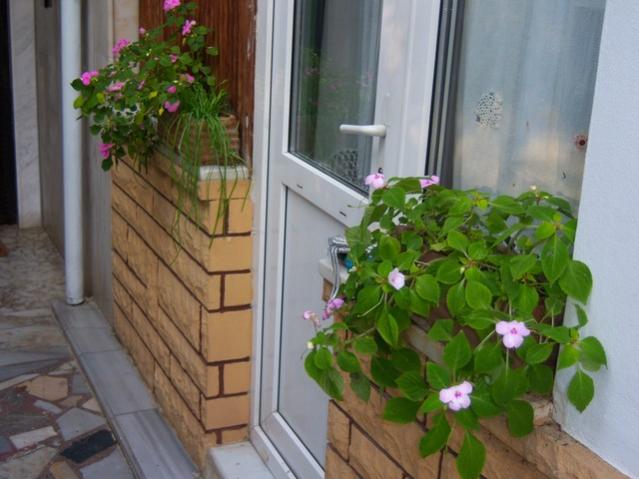 Name:  100_3811.jpg
Views: 361
Size:  43.6 KB