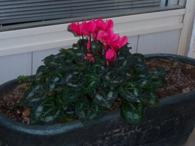 Name:  100_3814.jpg
Views: 374
Size:  39.5 KB