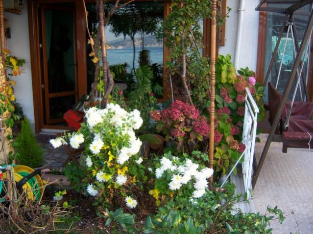 Name:  100_3818.jpg
Views: 379
Size:  65.5 KB