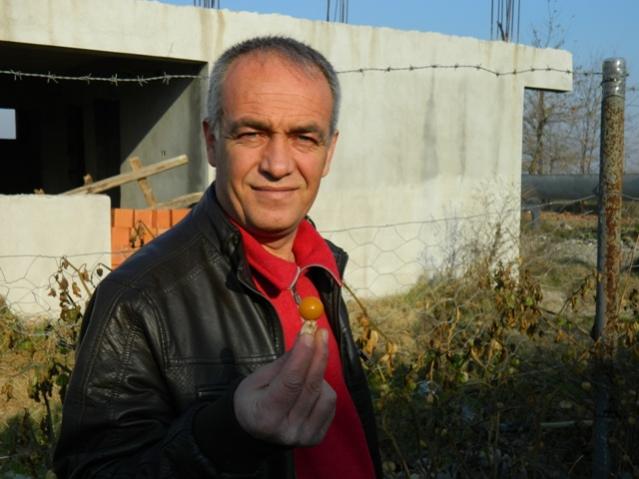 Name:  DSCN0158.jpg
Views: 1379
Size:  41.2 KB