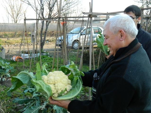 Name:  DSCN0160.jpg
Views: 1529
Size:  55.1 KB
