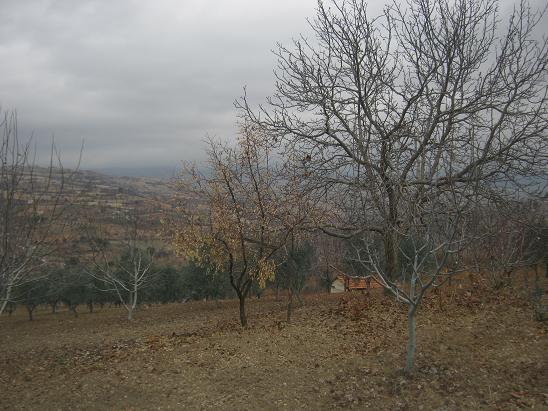 Name:  bahe.JPG
Views: 1150
Size:  65.2 KB