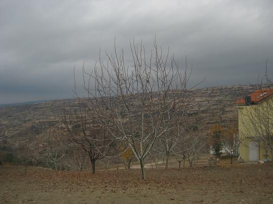 Name:  bahe 1.JPG
Views: 1344
Size:  47.0 KB