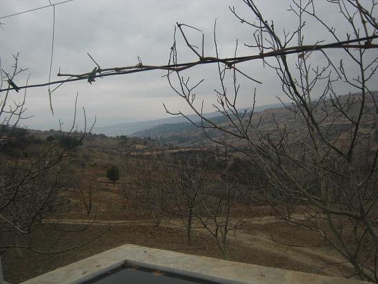 Name:  bahe 3.JPG
Views: 1301
Size:  52.4 KB