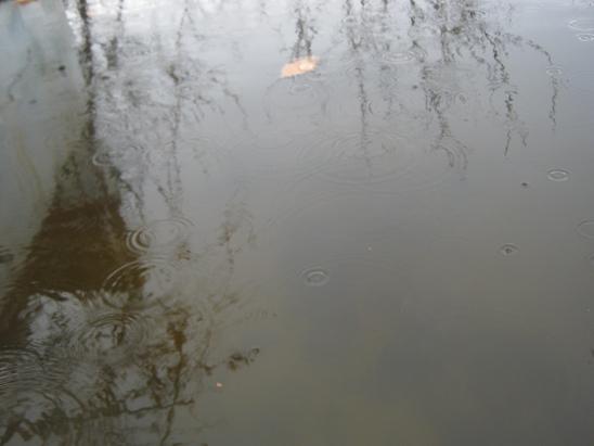Name:  yamur1.JPG
Views: 1332
Size:  32.4 KB